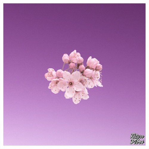 SISKA - Trillbo Swaggins