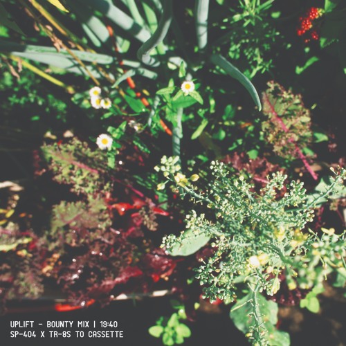 Bounty Mix