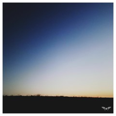 Yellowtael - Iridescence