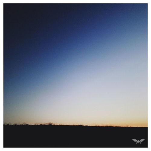 Yellowtael - Iridescence