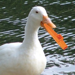 Kazoo Duck