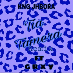 Tia Tamera (remix)FT G R X Y