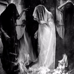 Article of Slim (prod. Fly Guy Dev)