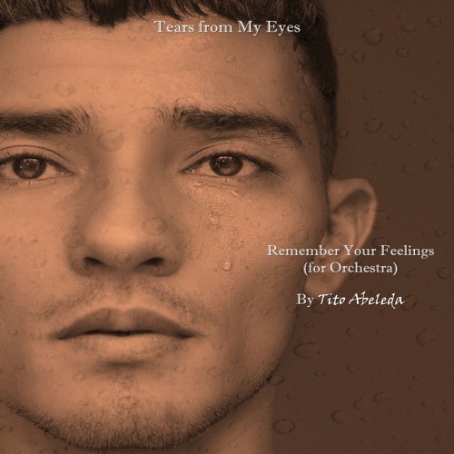 Tears From My Eyes: Remember Your Feelings