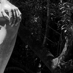 sounds for disregard