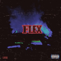 Flex prod. Middiebeats