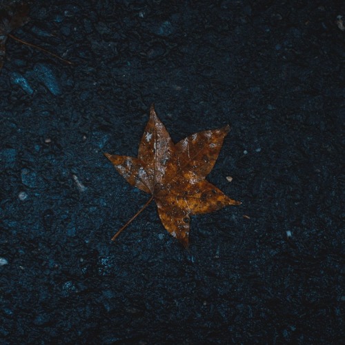 (Remake)something in the rain “雨の中で  - Lena ft Specter