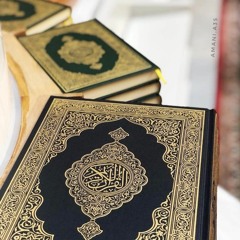وَاللَّهُ يَعِدُكُم مَّغْفِرَةً مِّنْهُ وَفَضْلًا | تلاوة من سورة البقرة القارئ أحمد العبيد