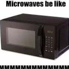 i made a song out of a fucking microwave