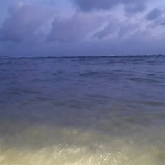 The mermaid song🧜‍♀️🧜‍♂️🏝