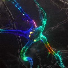 -Chill Out Mix-Thai Beats