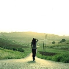 لودڤيكو / بداية