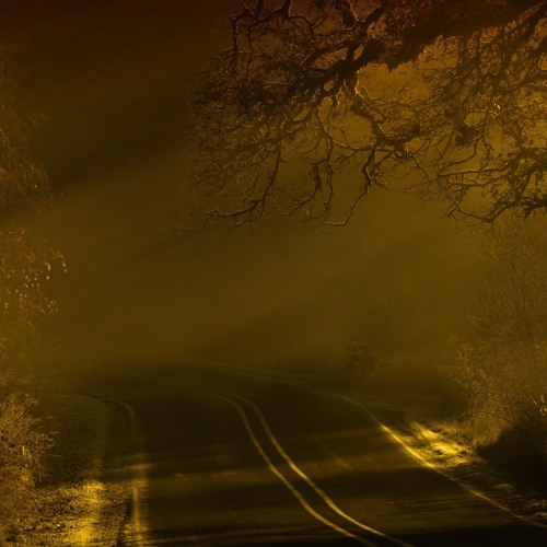 Ночь Туманная