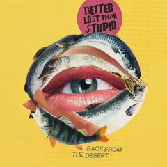 Better Lost Than Stupid - Back From The Desert