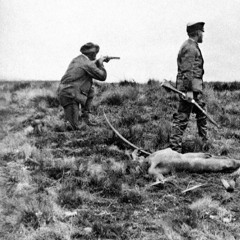 Lettres comme a l'envers