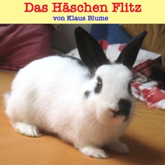 Das Häschen Flitz