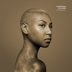 Dominique Fils-Aimé - Good Feeling (Atjazz & D-Malice Vocal Dub)