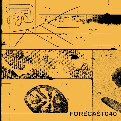 Forecast 040: Palto Flats