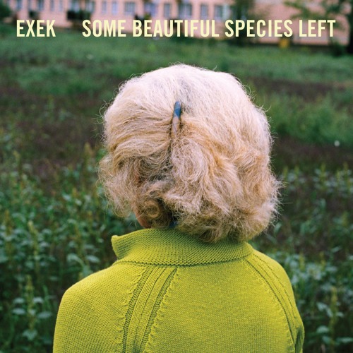 EXEK - Unetiquetted
