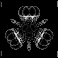 JANEIN - 1129514 (Fiedel Remix) [SEELEN005 | B1 | Premiere]