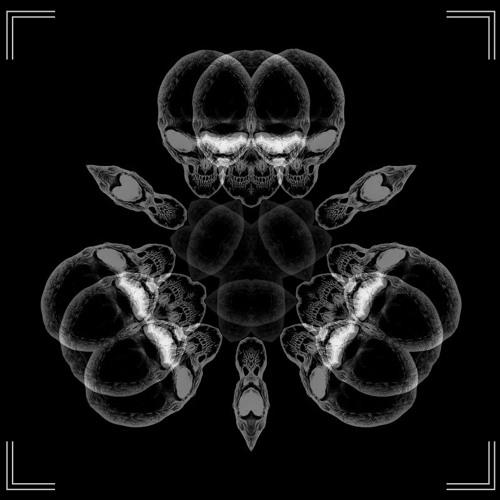 JANEIN - 1129514 (Fiedel Remix) [SEELEN005 | B1 | Premiere]