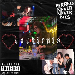 Perreo Never Dies presenta: CACHIRULA Guest Mix
