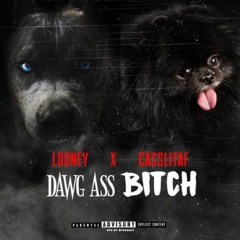 Dawg Ass Bitch- Lil looney x CassLitAf