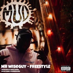 Freestyle (Prod. by Mark Raines)