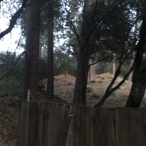 Letting Go (w/ b.trx)