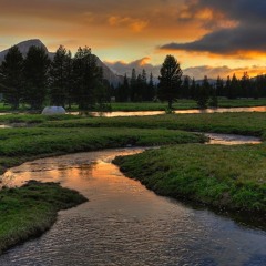 The Range Of Light
