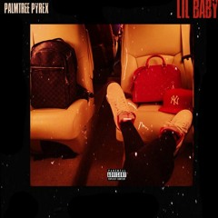 Palmtree Pyrex - Lil Baby ( Official Video )
