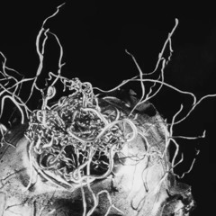 music for recluses