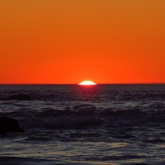 rising sun