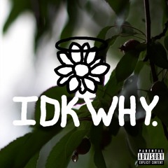 IDK WHY (feat. Maxwell Focus)