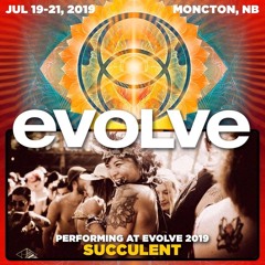 Succulent- Evolve 2019- Munch on this.