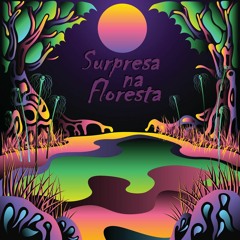 Surpresa Na Floresta [Original Mix]