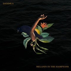 Melanin In The Hamptons