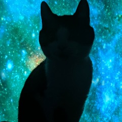 Intergallactic kitty kat