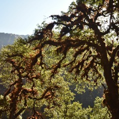 Trouver la paix intérieure