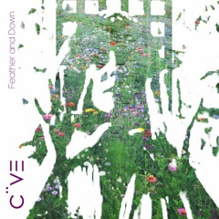 CiiVE - Feather and Down EP