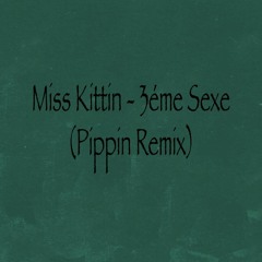 Miss Kittin - 3ème Sexe(Pippin bootleg remix)