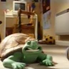 Persian Turtle Song