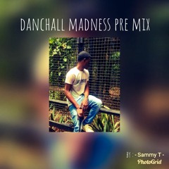 Mighty Sam Danchall Madness Pre - Mix Final