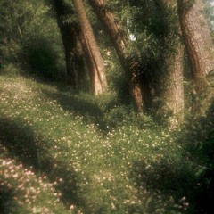 in dreams