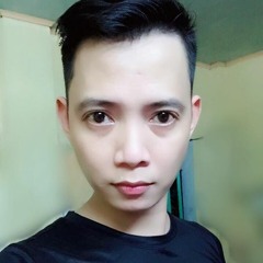 NST Anh Moi Chinh La Nguoi Em Yeu ChinhDan Remix