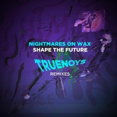 04 Nightmares On Wax - Shape The Future (Truenoys Vintage Mix)