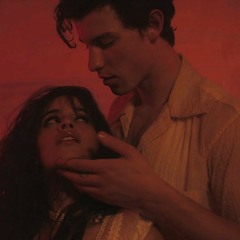 «Shawn Mendes, Camila Cabello» - Señorita «Remix»