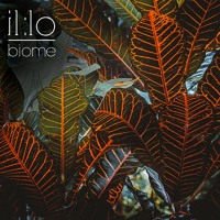 il:lo - Biome