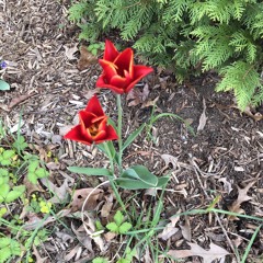 Nobody knows you when you’re down and out