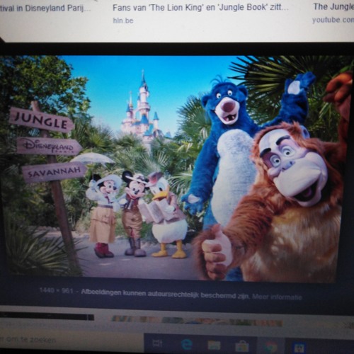 King jives show